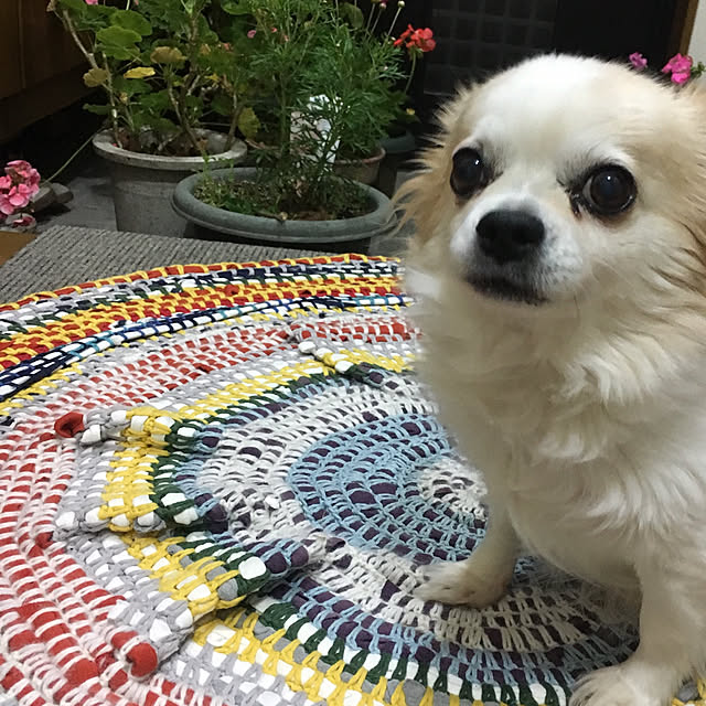 Natsumiさんの実例写真