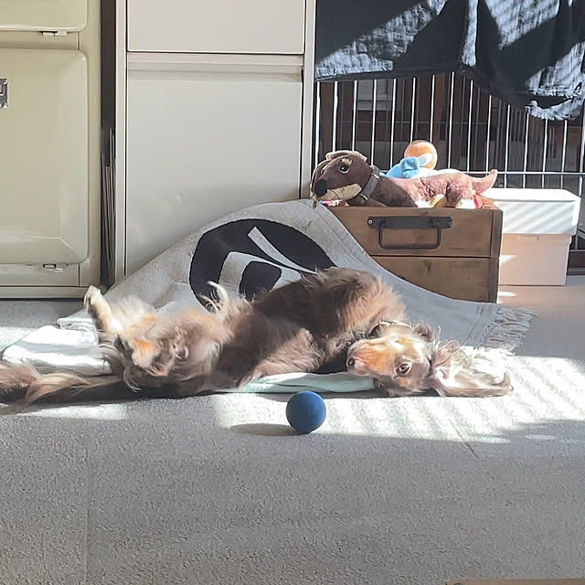 yupponさんの部屋