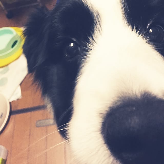 ronさんの実例写真