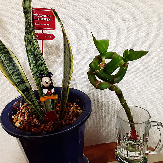katさんの実例写真