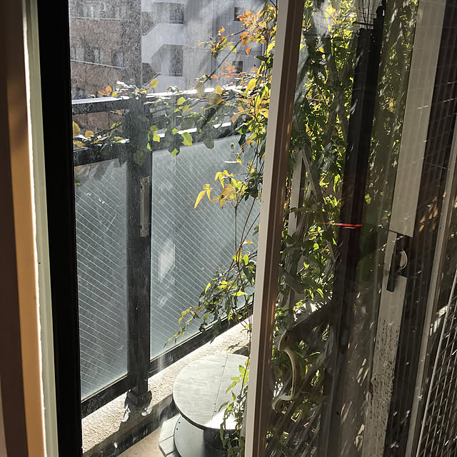 kimishigureさんの実例写真
