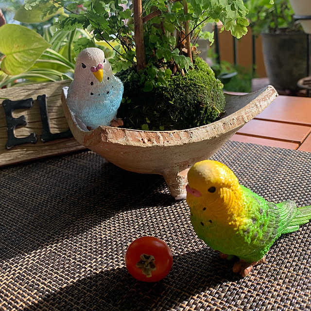 Aqettyさんの実例写真