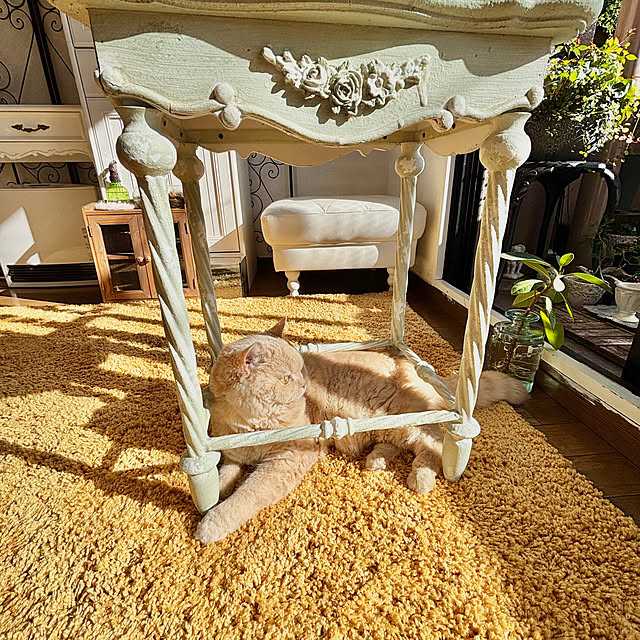 naokoさんの部屋