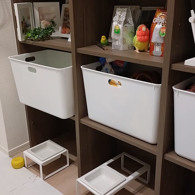 toratanさんの実例写真