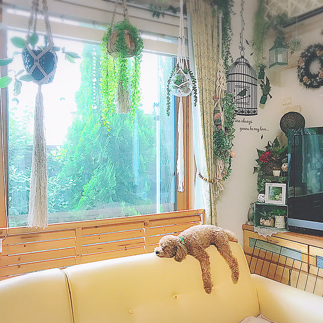 xigyanさんの実例写真