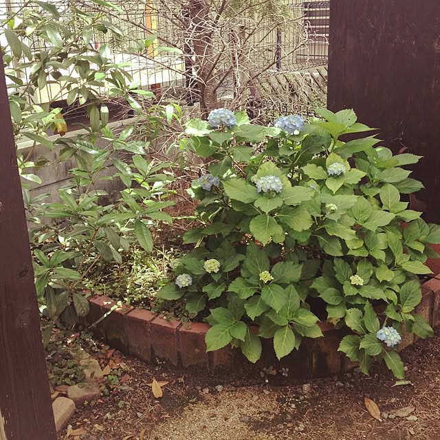 sweethomeさんの実例写真