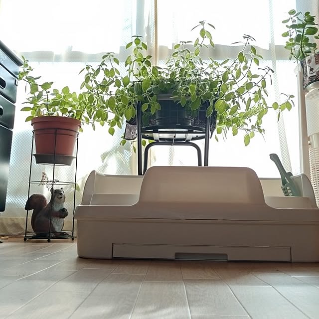 NOAHさんの部屋