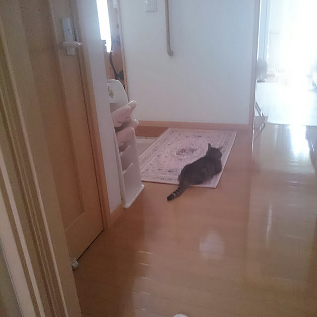 lilyさんの実例写真