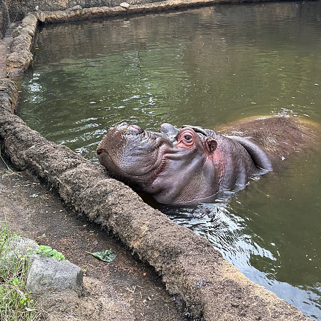 naokoさんの部屋