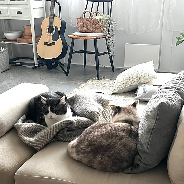 a.f.さんの実例写真