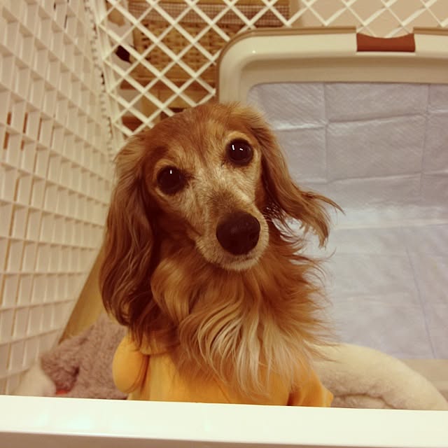 Mayumiさんの実例写真