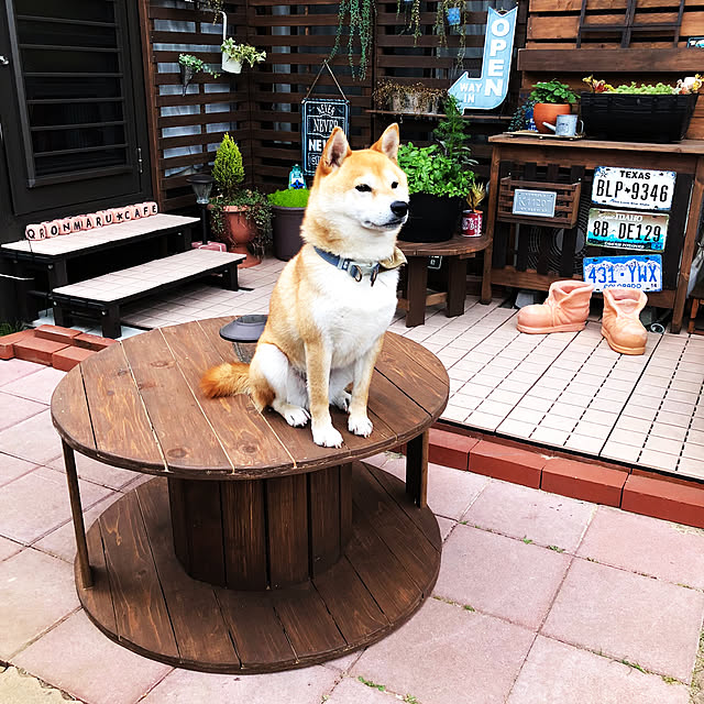 ronmaruさんの実例写真