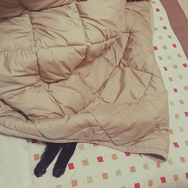 nanoさんの実例写真