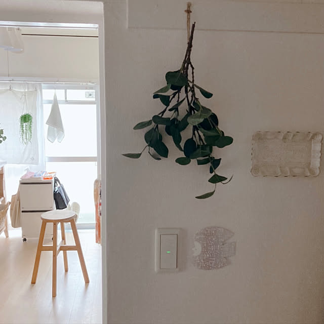 プレート貼ってみた/BIRDS’ WORDS/IKEAのフェイクグリーン/団地暮らし/生活感のある暮らし...などのインテリア実例 - 2021-04-04 10:31:33