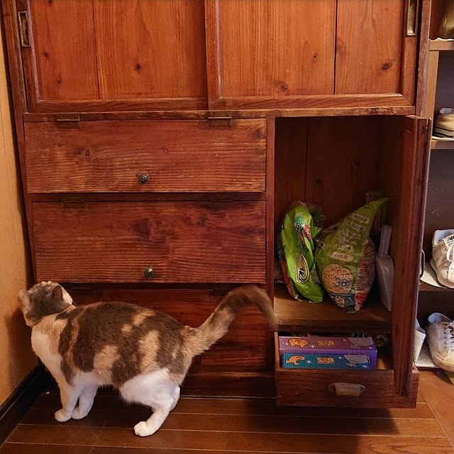 fukuさんの部屋