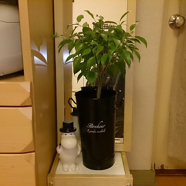 haruさんの実例写真