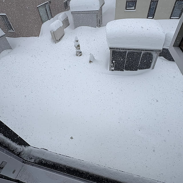 fuuuchan69さんの実例写真