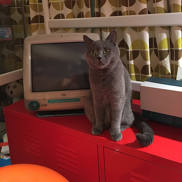 ikettenさんの実例写真