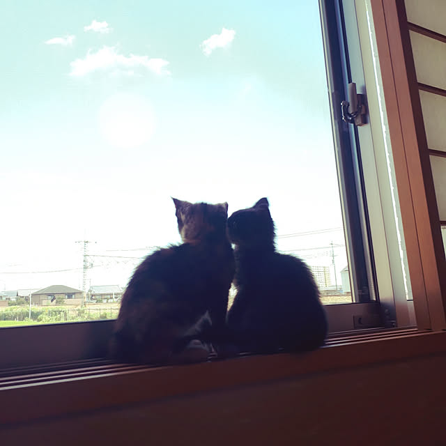aiさんの実例写真