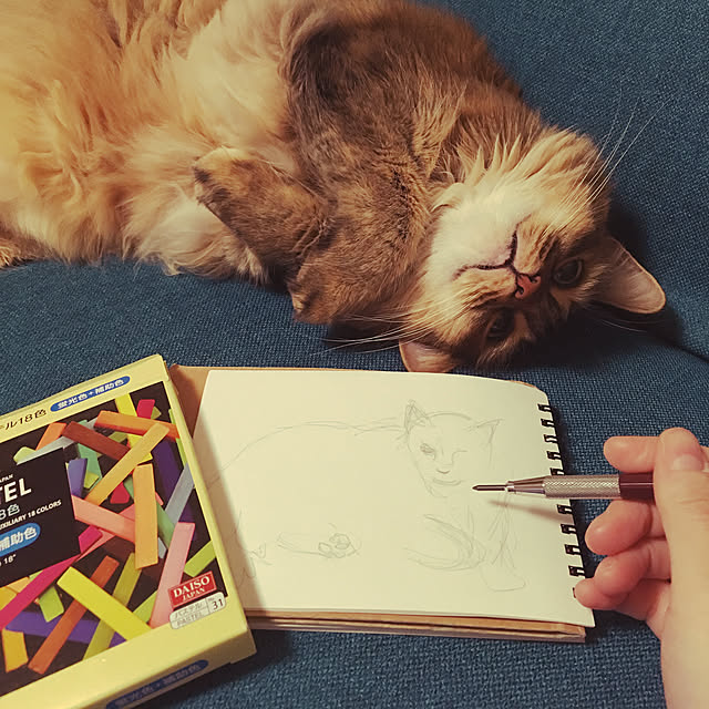tokoさんの実例写真