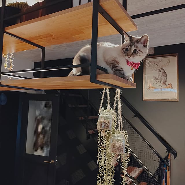 Atelier_tamakiさんの部屋