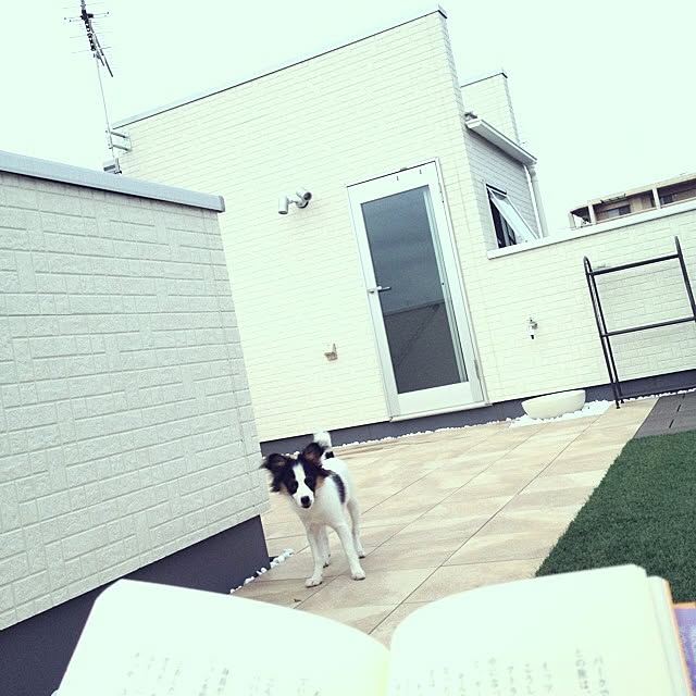 erigonさんの実例写真