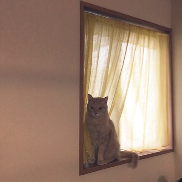 mikan161さんの実例写真