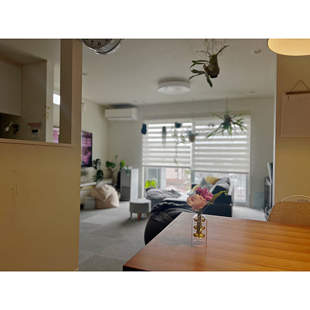 部屋全体/植物のある暮らし/花瓶/フラワーベース/花のある暮らし...などのインテリア実例 - 2024-04-27 16:31:59