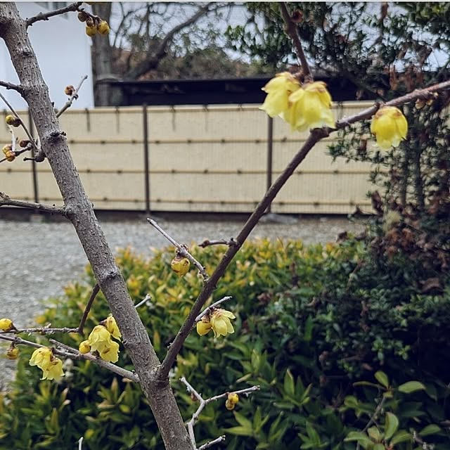 ku-garnet18さんの部屋