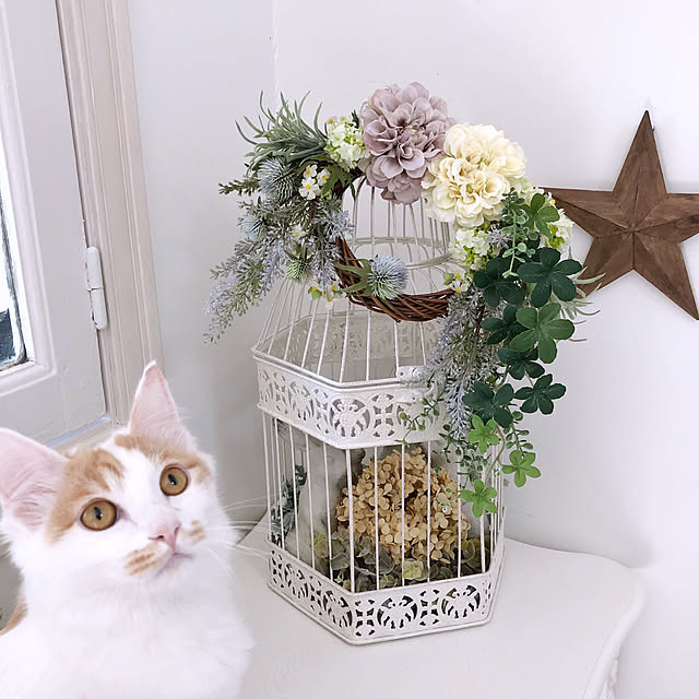 yuchiさんの実例写真