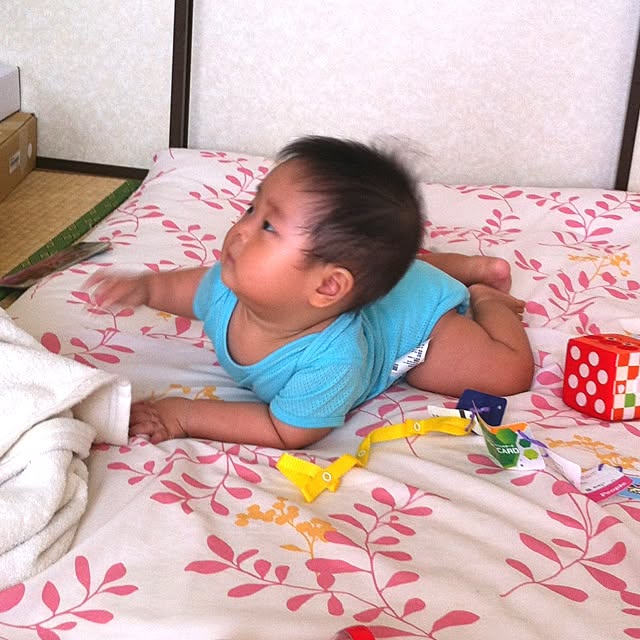 siosakiさんの実例写真