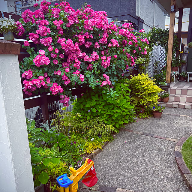 hinamamaさんの部屋
