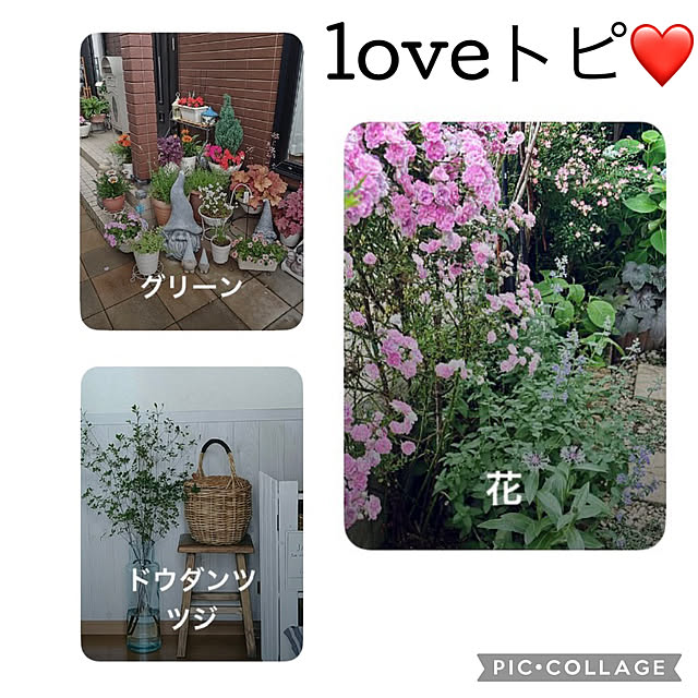 CoCo0617さんの実例写真
