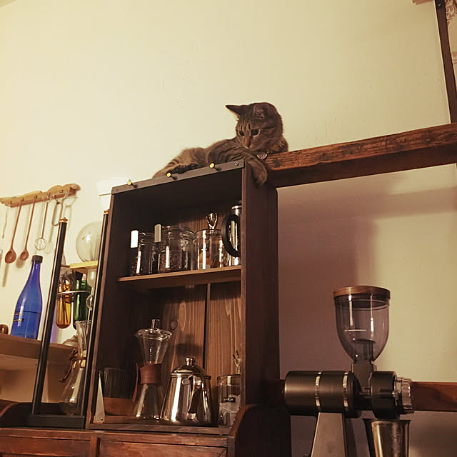Mさんの実例写真