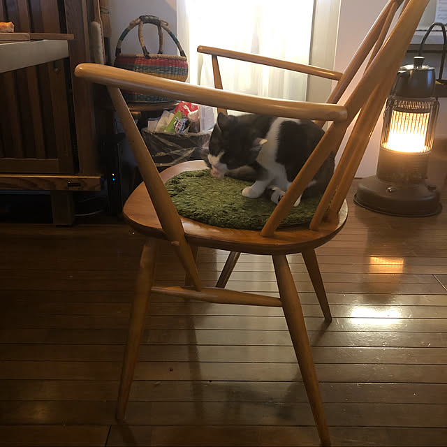 a.f.さんの実例写真