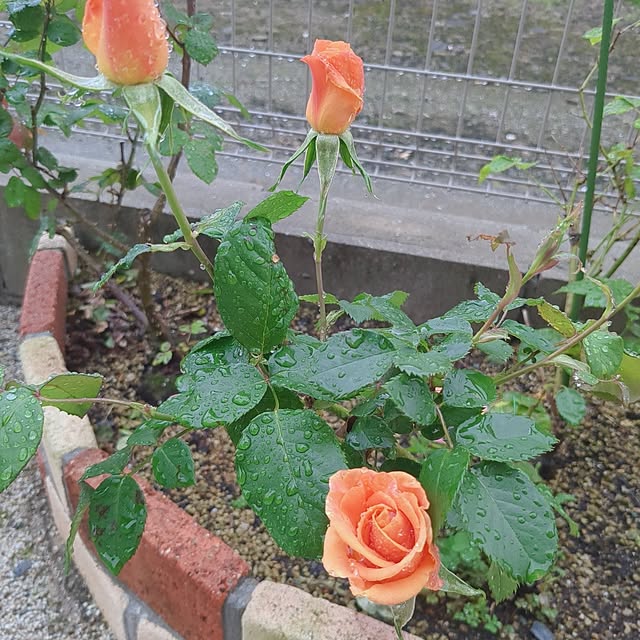 ryouさんの部屋