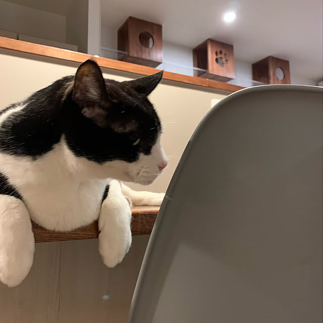 mikeume7さんの実例写真