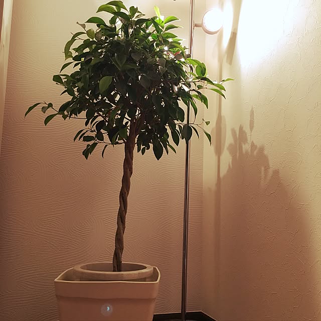 m.さんの実例写真