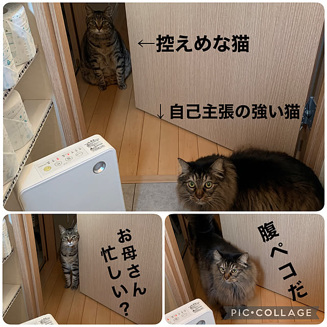 yukarin-gardenさんの実例写真