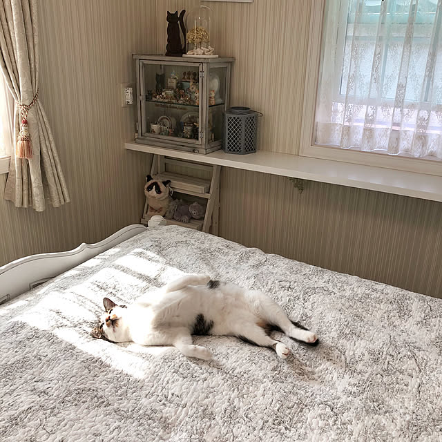 yuchiさんの実例写真