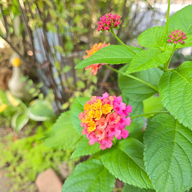 min_nimさんの部屋