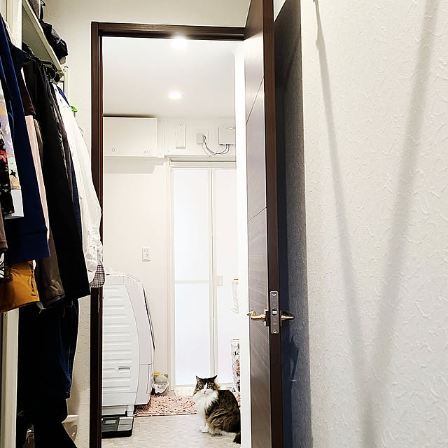 akiko6193さんの実例写真