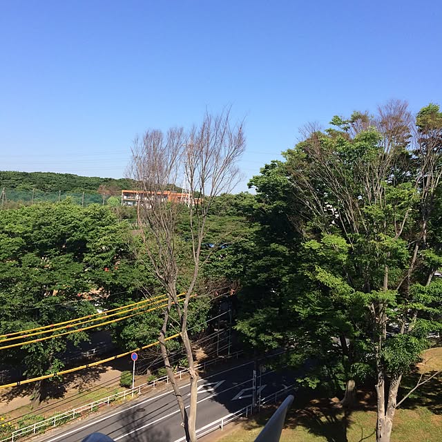 実例写真