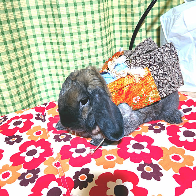 mariaさんの実例写真