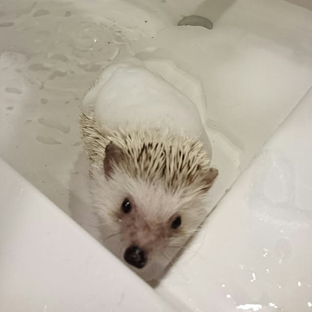 Reikomさんの実例写真