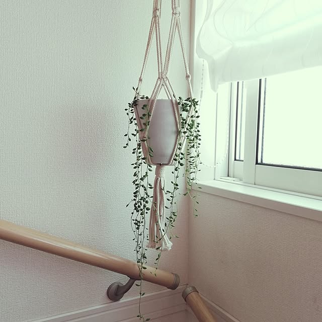 pinokoさんの部屋