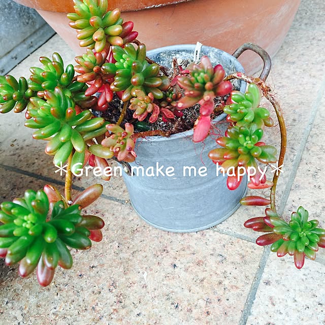 mikkoさんの実例写真