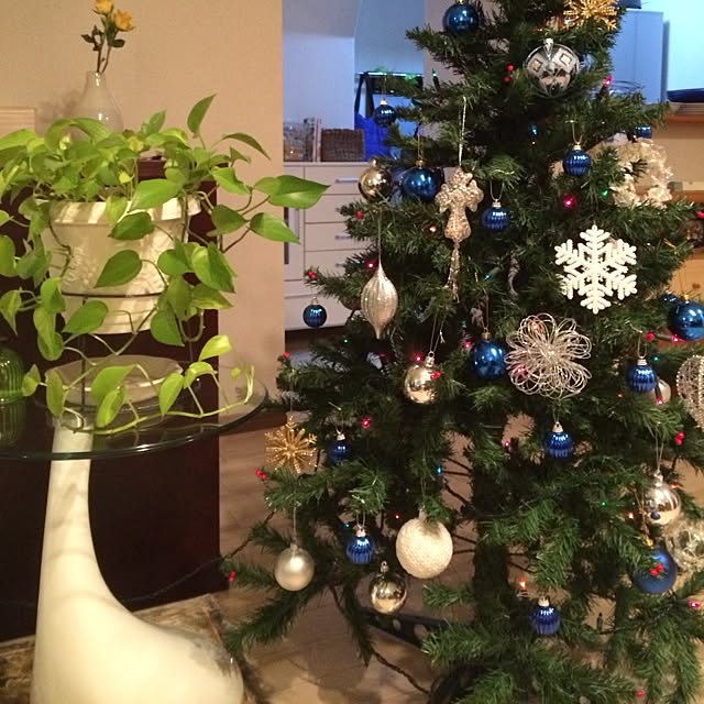 部屋全体/植物/照明/観葉植物/雑貨のインテリア実例 - 2015-12-09 16:43:27