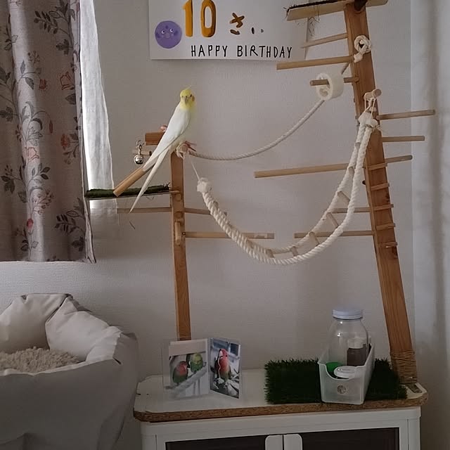 toratanさんの部屋