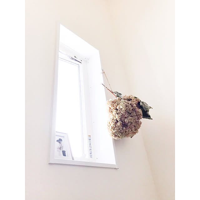 aco64さんの実例写真
